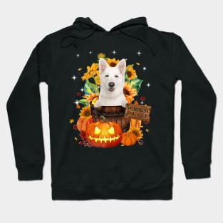 White German Shepherd Halloween Pumpkin Fall Bucket Hoodie